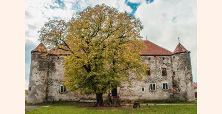 Фортеця Сент-Миклош