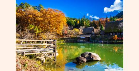 Тур выходного дня для школьников с посещением Умани.