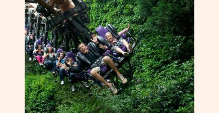 чессингтон