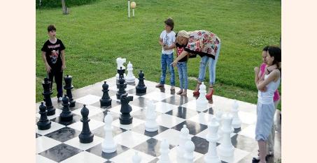 Cool Camp chess