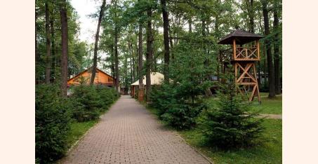 Территория