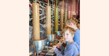 Шоколадна фабрика 2