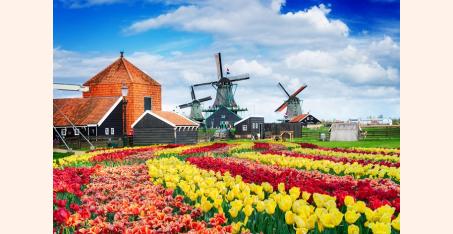 Зансе-Сханс